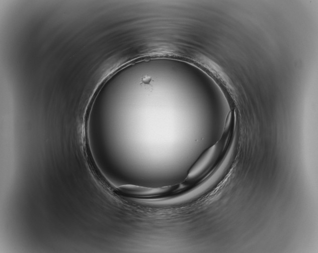 X0000096191234200801181314