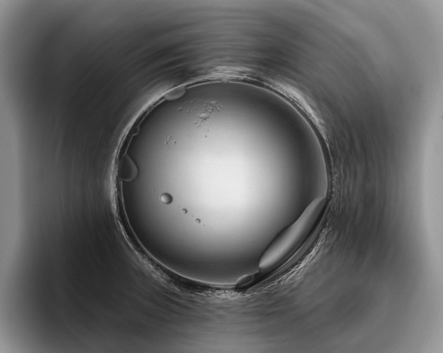 X0000096191235200801181314