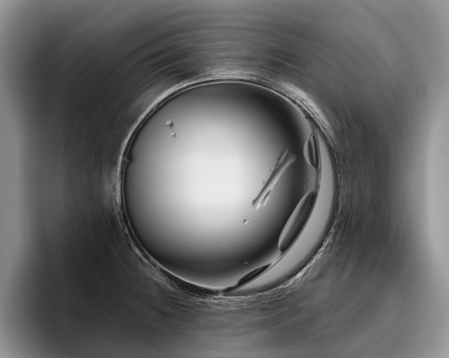 X0000096191236200801181314