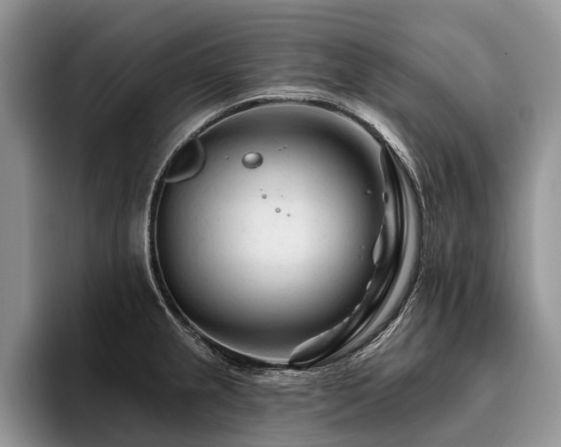 X0000096191237200801181314