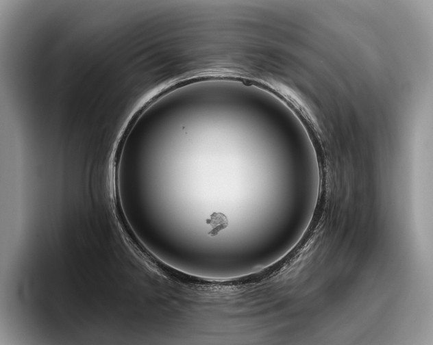 X0000096191238200801181314