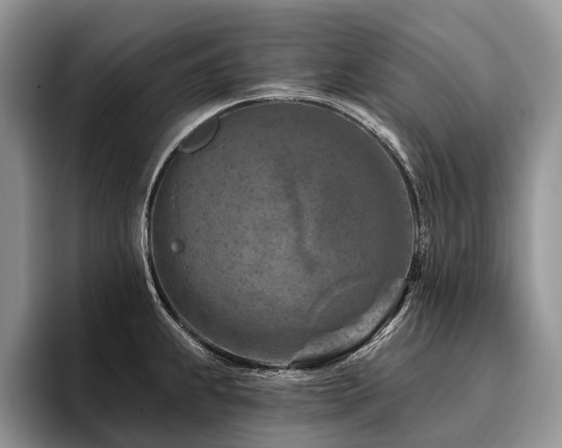 X0000096191239200801181314