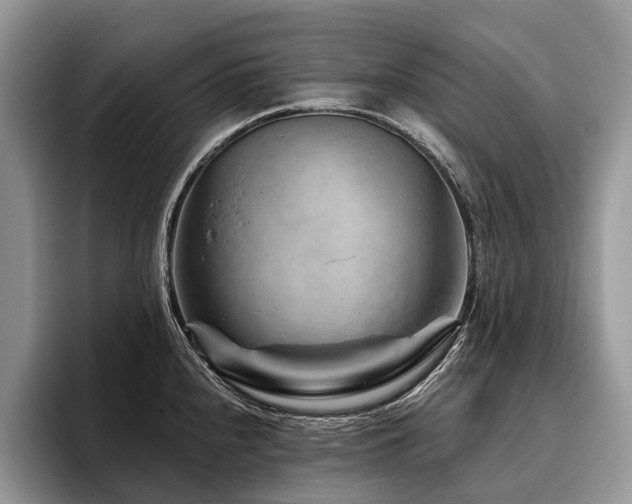 X0000096191240200801181314