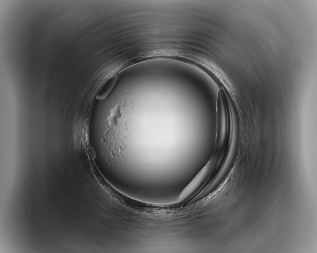 X0000096191241200801181314