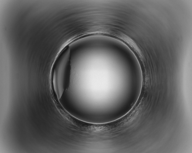 X0000096191242200801181314