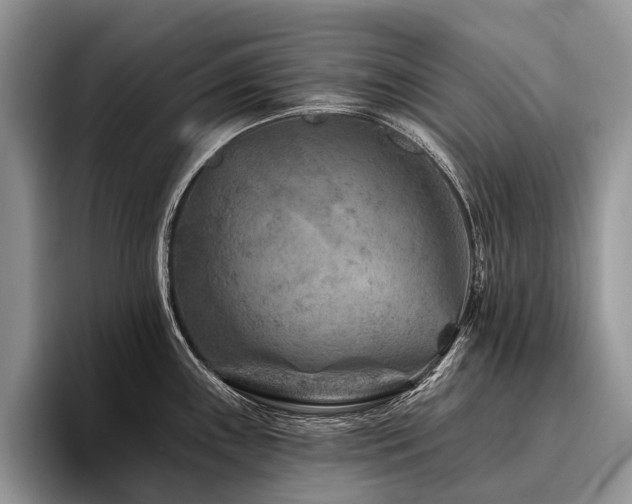 X0000096191243200801181314