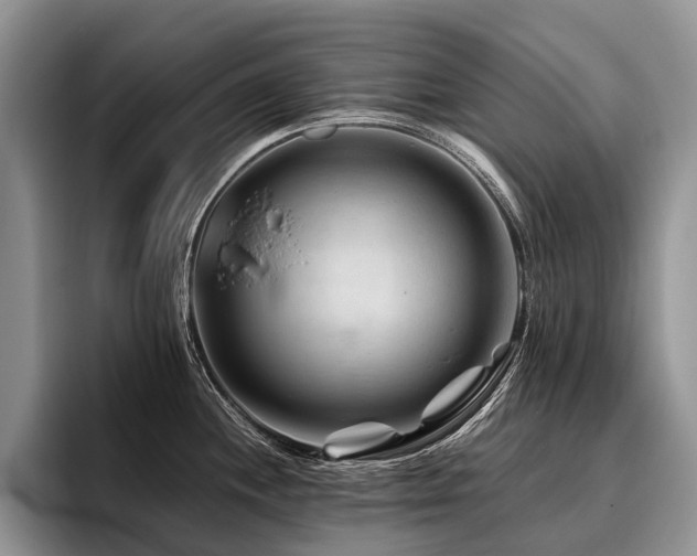 X0000096191244200801181314