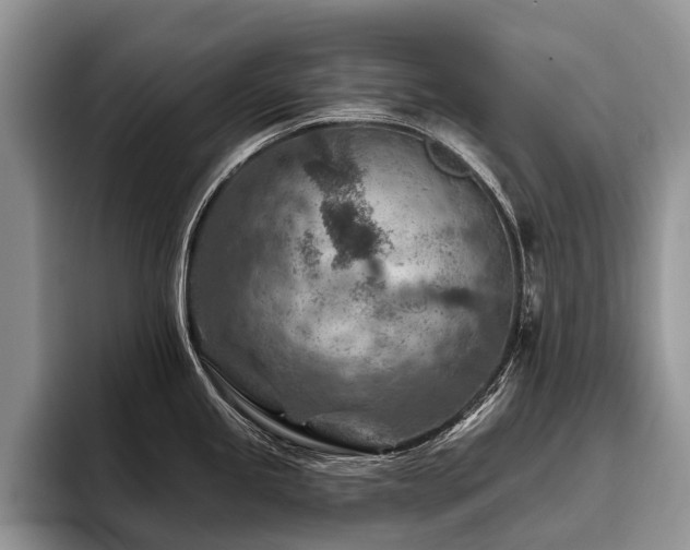 X0000096191245200801181314