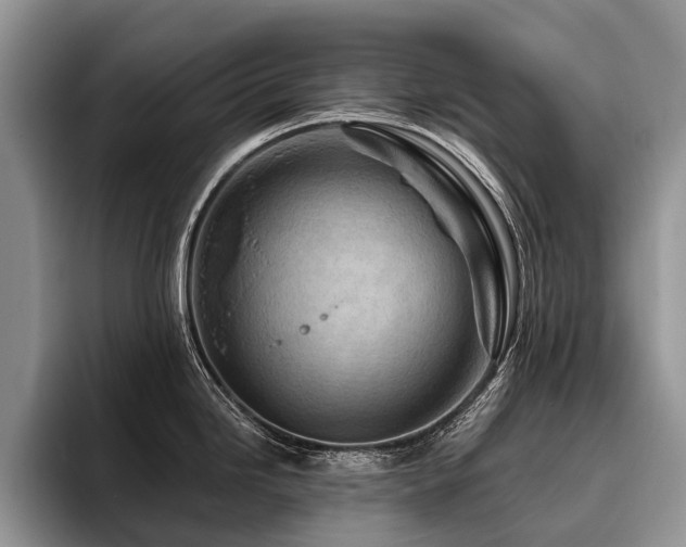 X0000096191246200801181314