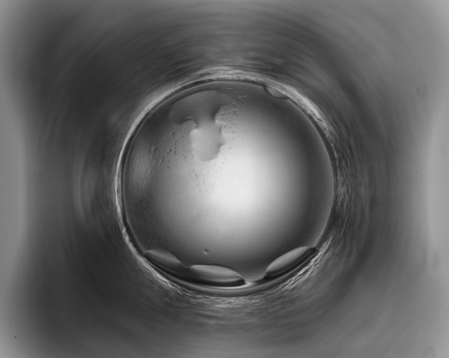 X0000096191247200801181314