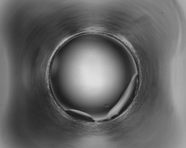 X0000096191248200801181314