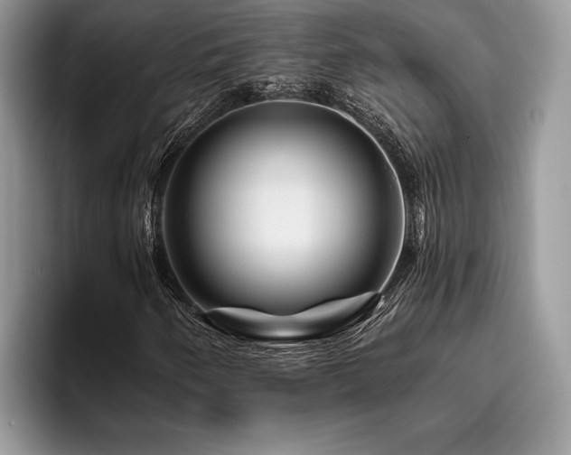 X0000096191250200801181314