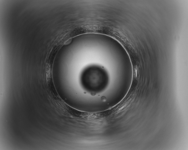 X0000096191251200801181314