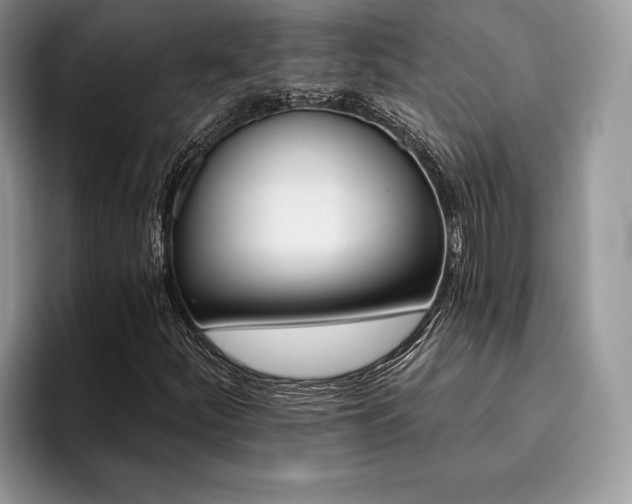 X0000096191252200801181314