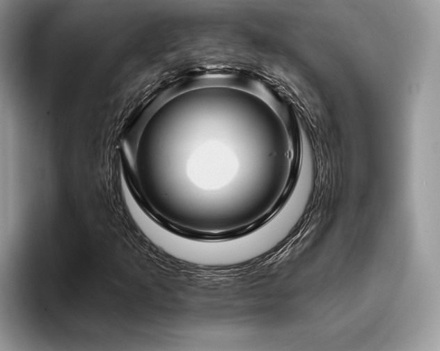 X0000096191253200801181314