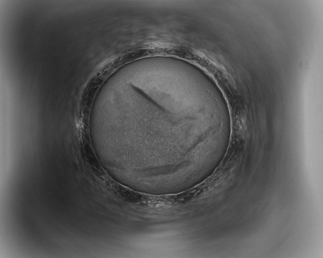 X0000096191254200801181314