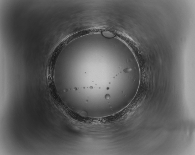X0000096191255200801181314