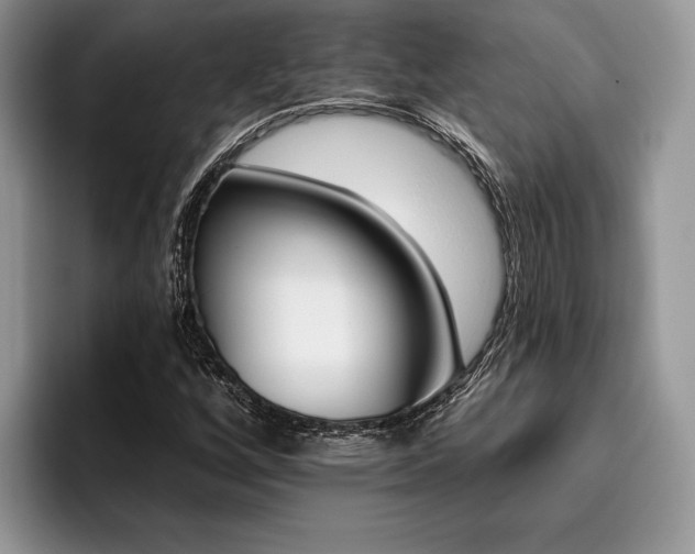 X0000096191256200801181314