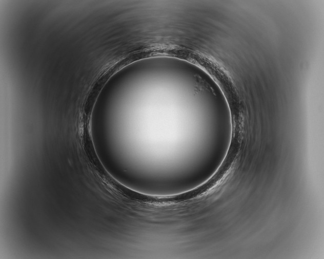 X0000096191257200801181314