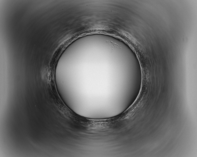 X0000096191258200801181314