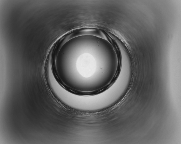 X0000096191260200801181314
