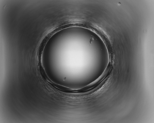 X0000096191261200801181314