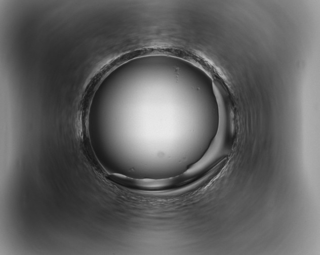 X0000096191262200801181314