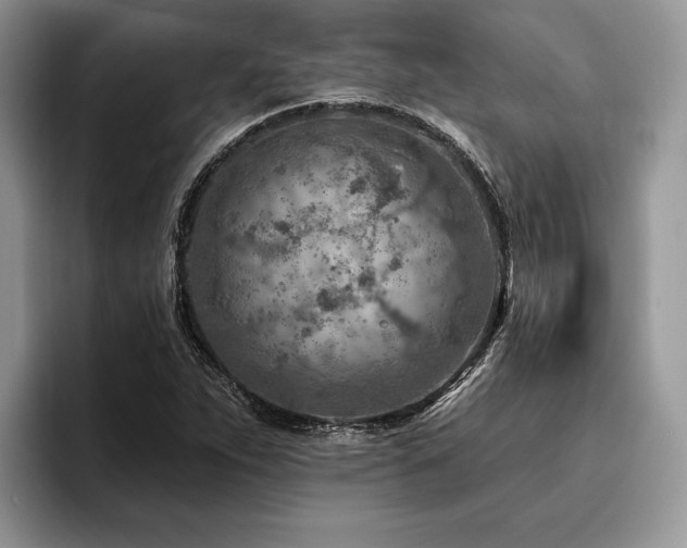 X0000096191263200801181314