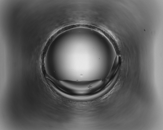 X0000096191264200801181313