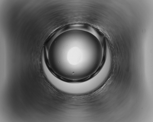 X0000096191265200801181313