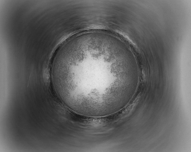 X0000096191266200801181313