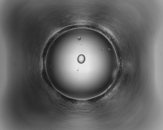 X0000096191267200801181313