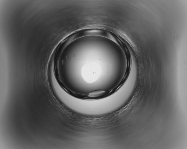 X0000096191268200801181313