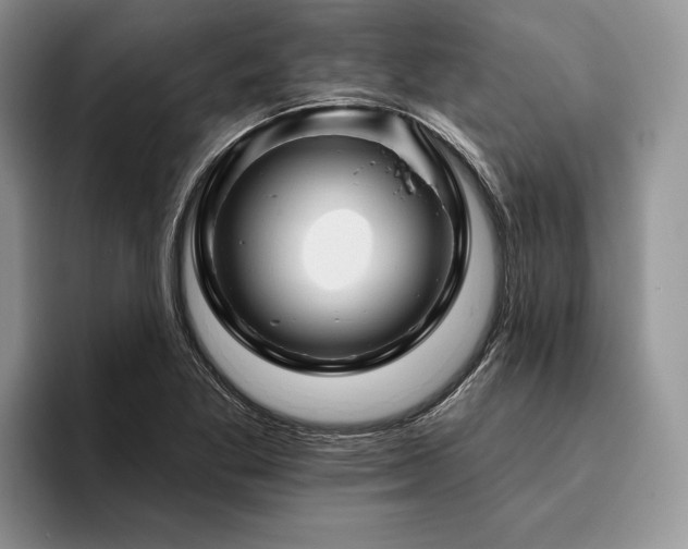 X0000096191269200801181313