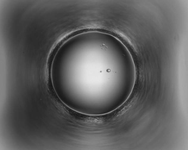 X0000096191270200801181313