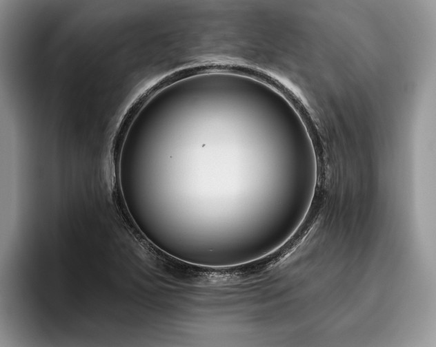 X0000096191271200801181313
