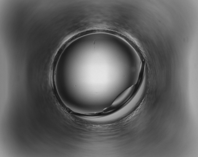 X0000096191272200801181313