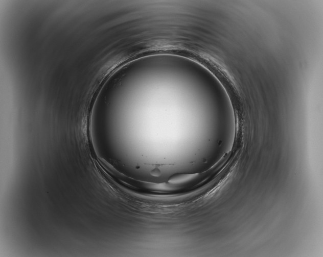X0000096191273200801181313