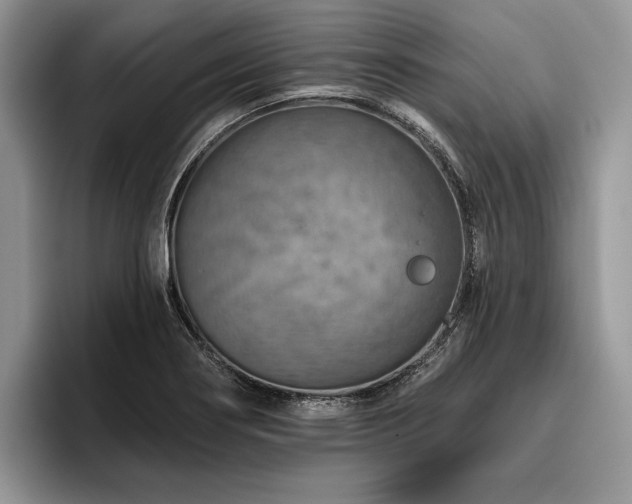 X0000096191274200801181313