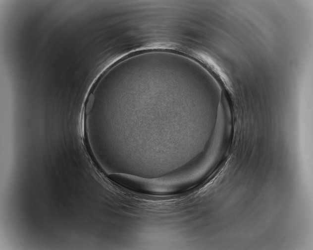 X0000096191276200801181313