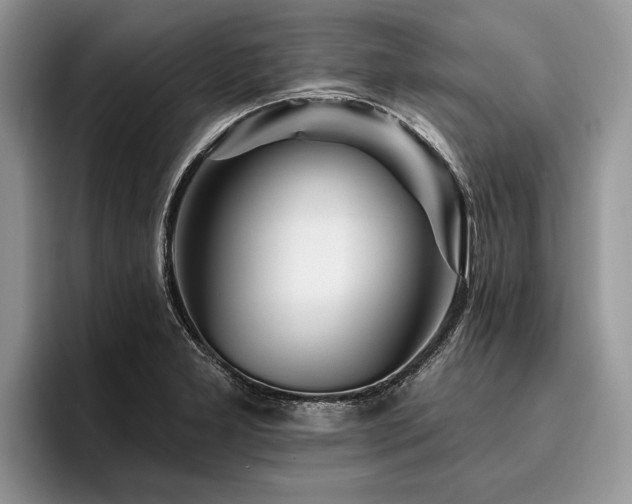 X0000096191277200801181313