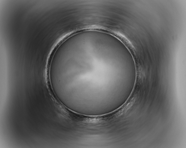X0000096191278200801181313
