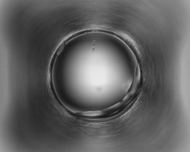 X0000096191280200801181313