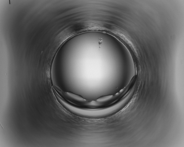 X0000096191281200801181313
