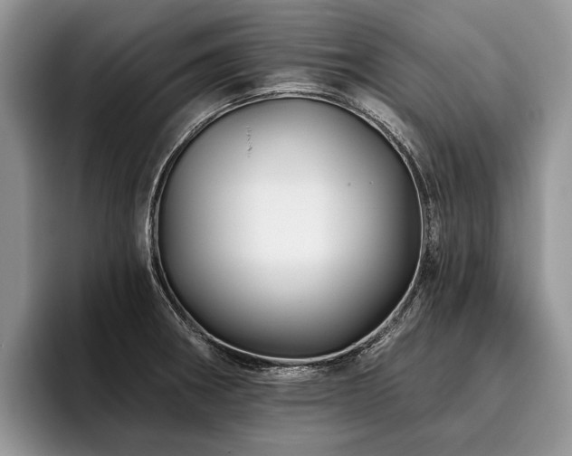 X0000096191282200801181313