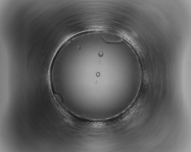 X0000096191283200801181313