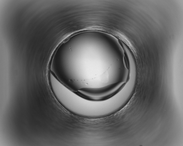 X0000096191284200801181313