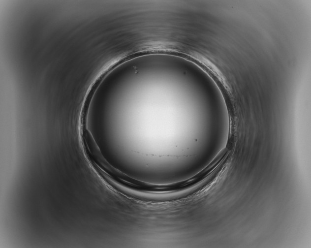 X0000096191285200801181313