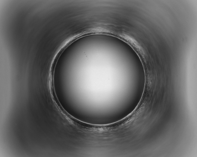 X0000096191286200801181313