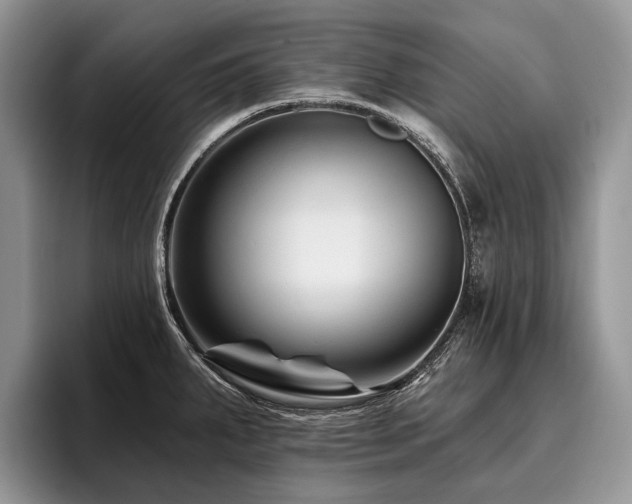 X0000096191287200801181313